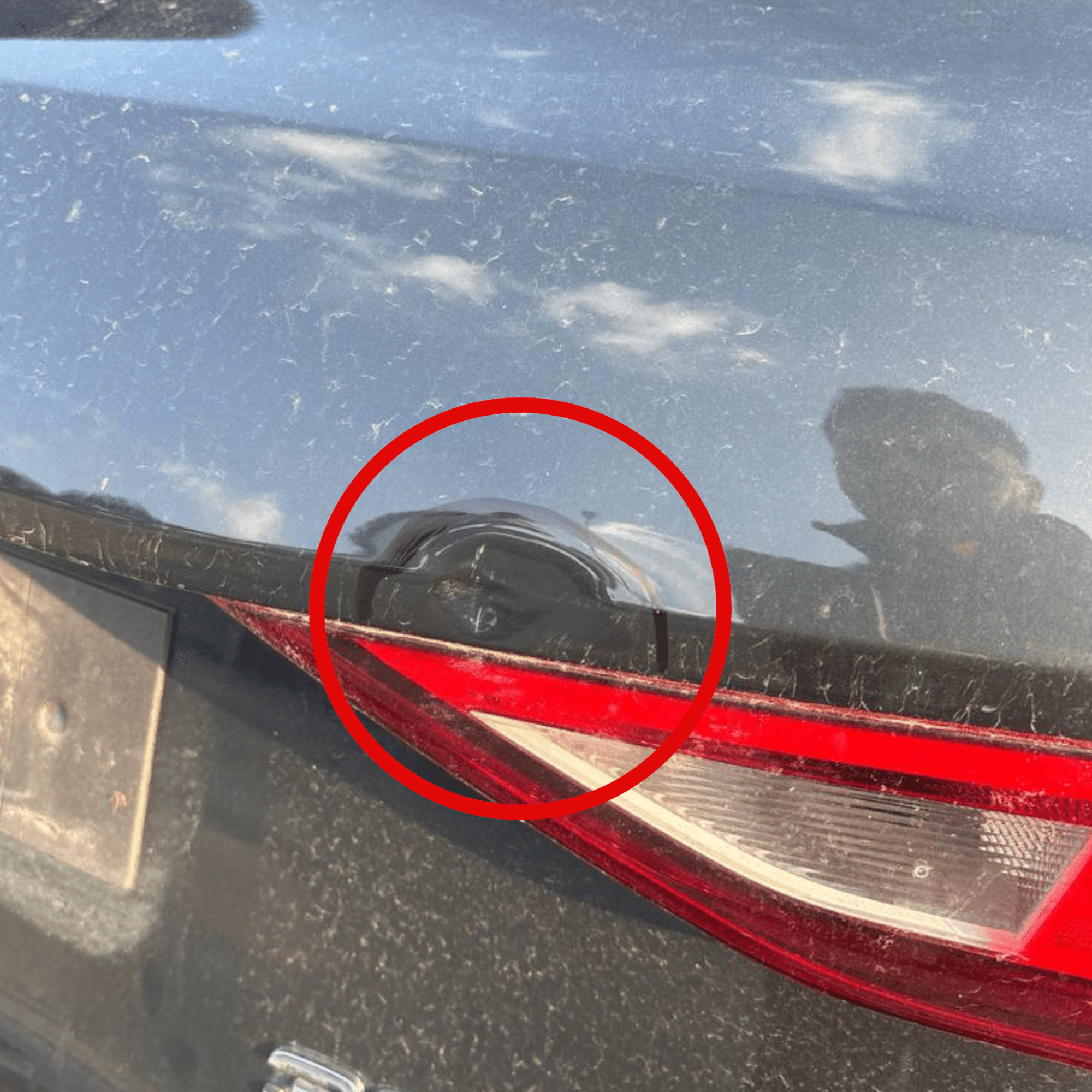Cofano / Portellone / bagagliaio posteriore Audi A3 8Y (2020 - >) - F&P CRASH SRLS - Ricambi Usati
