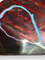 Fanale / Stop Alogeno Posteriore Destro Opel Corsa F cod:9829317280 (2019>) - F&P CRASH SRLS - Ricambi Usati